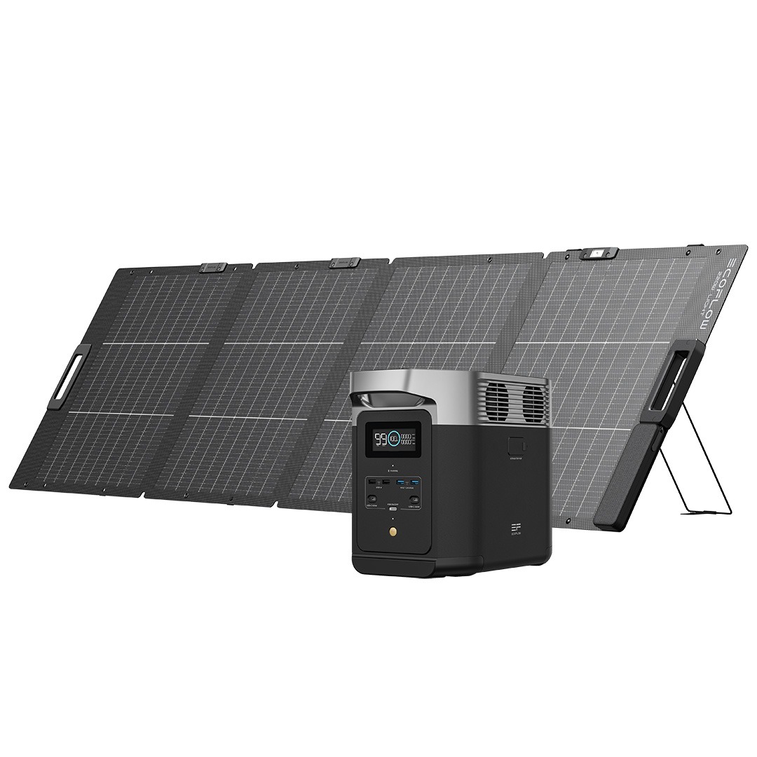 EcoFlow DELTA 2 + 220W leichtes faltbares bifaziales Solarpanel