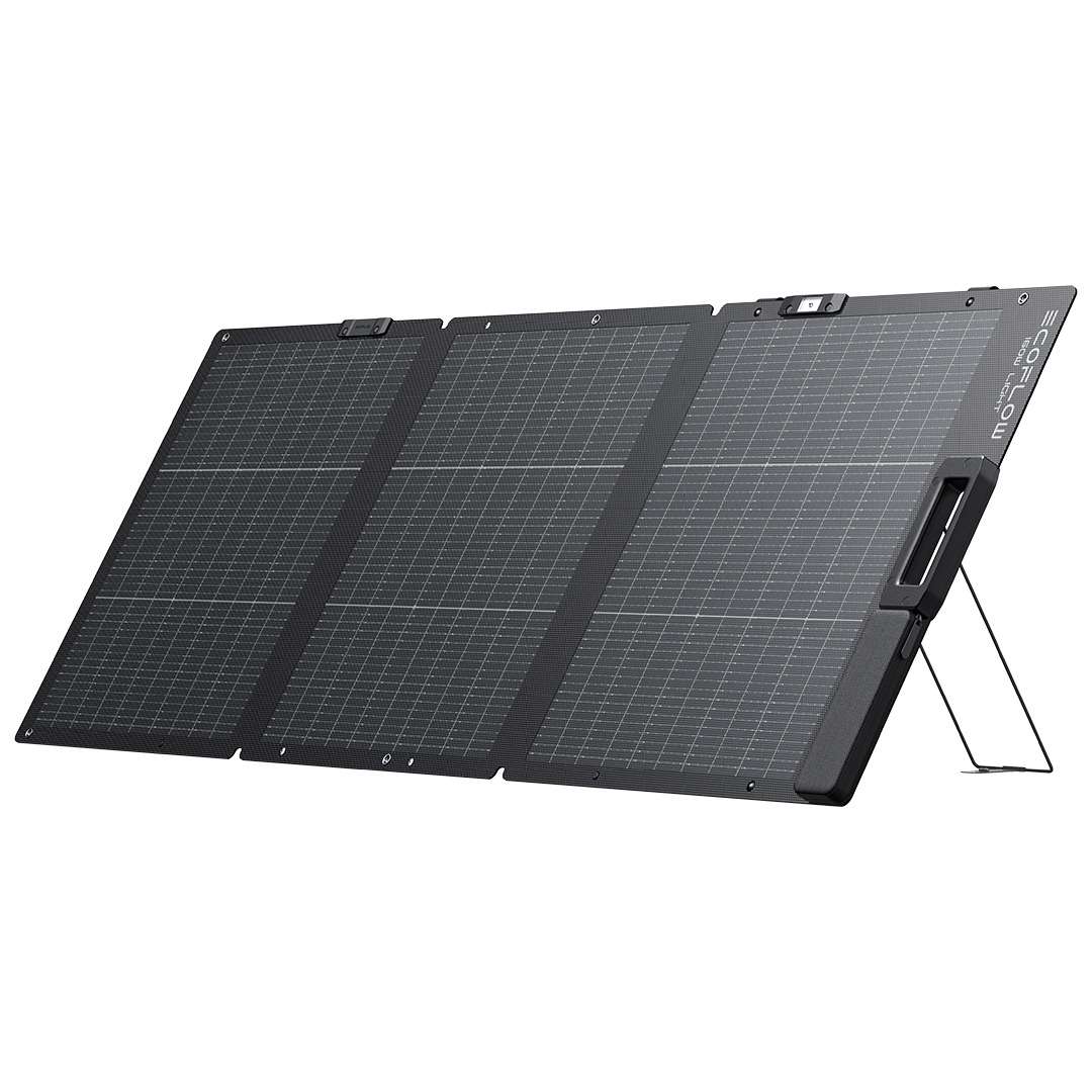 EcoFlow 160W leichtes bifaziales faltbares Solarmodul